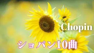 【名曲クラシック】朝に聴きたいショパン　 ショパン名曲から10曲セレクト♪ F.chopin. ノクターン・別れの曲【作業用BGM】