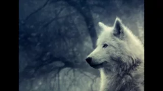 Fire, Storm, Rain and Wolf | Relaxing Nature Sounds