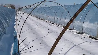 Балаганы, которым не страшен снегопад