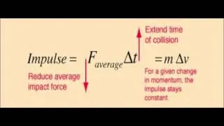 Movesci 330: Boxing Biomechanics 101