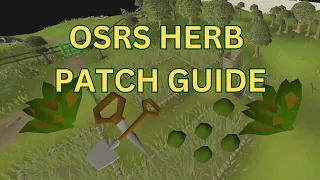 Ultimate Herb Farming Run Guide 2024 OSRS