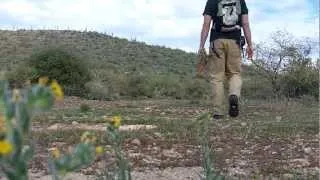 Agave Didgeridoo Harvest