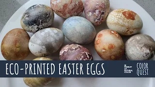 HOW TO ECO-PRINT EASTER EGGS | AVOCADO & ONION SKIN HIBISCUS RED CABBAGE BLUE PEA LOGWOOD COREOPSIS