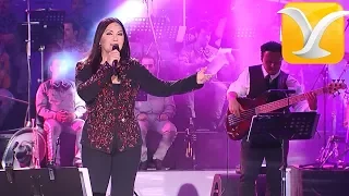 Ana Gabriel - Soy como quise ser - Festival de Viña del Mar 2014 HD