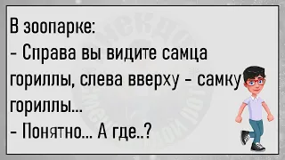 💎Плывёт По Атлантике Лайнер...Большой Сборник Весёлых Анекдотов,Для Супер Настроения!