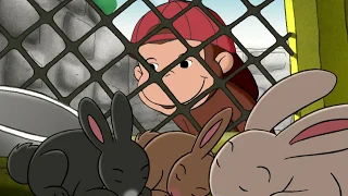 George Let's The Rabbits Out 🐵Curious George 🐵Videos for Kids