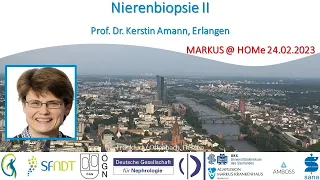 Nierenbiopsie II - Prof. Kerstin Amann (Erlangen)