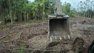 Escavadeira começando destoca de tocos