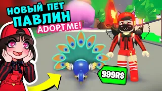 Новый Питомец ПАВЛИН в Роблокс Адопт Ми! Новости обновления в Roblox Adopt Me