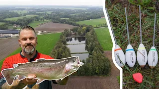 Sbirolinoangeln am Forellenteich | Mit Teig und Bienenmade aktiv, sowie passiv | Live Bisse