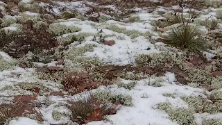 Внимание МОШЕННИКИ!Полесье утопает.#жизньинвалидавбелорусскойдеревне#всёсама.