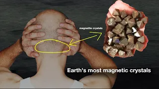 They Found Crystals in Human Brains: "They decode all the frequencies"