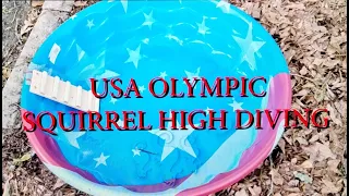 USA Olympic Squirrel High Diving - Trained Athletes Only