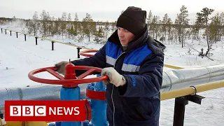 EU told to prepare for Russian gas shut-off - BBC News