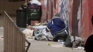 Florida's homeless senior population