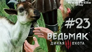 Ворожей и княжна — The Witcher 3: Wild Hunt Прохождение игры #23