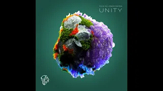 Q.U.A.K.E., Asher Swissa - Unity (Extended Mix)