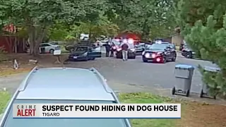 Domestic assault suspect arrested after leading police on chase, found hiding in doghouse
