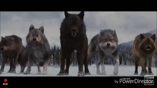 Twilight Wolves- Believer [Imagine Dragons]