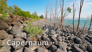 The Unexplored Part of Capernaum on the shores of the Sea of Galilee.