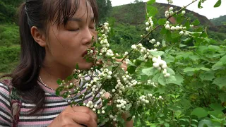 Bushcraft Relaxing - Survival by the beautiful river - Find Food For Survival Episode 03