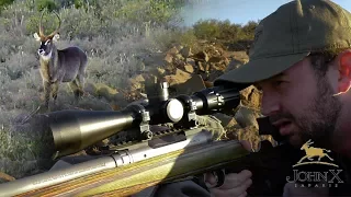 500 Yard Waterbuck Shot with the .260 Rem | John X Part 2