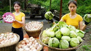 Harvest green cabbage and duck eggs in the garden. Return to the village to sell | Agriculture