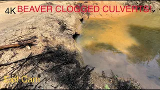 multiple culverts cleared/beaver clogged culverts/visits to regulation dam 5/30/23