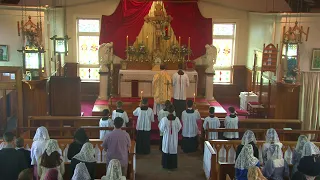 SSPXNZLIVE - Third Sunday after Easter - 21st April - Sung Mass