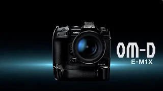 Olympus EM1X initial thoughts