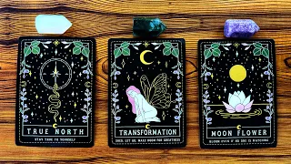 YOUR FUTURE SELF IS CONTACTING YOU TO GIVE YOU THIS MESSAGE! 🎀✨🌸 | Pick a Card Tarot Reading