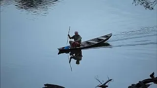 Rolando Boldrin é que a viola fala alto no meu peito humano