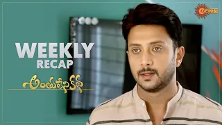 Anthulenikatha | Ep 73 - 78 | Recap | Weekly Roundup | Gemini TV | Telugu Serial