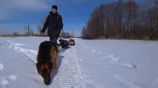 На Зимнюю Рыбалку! Ждали рыбу, а пришел ерш!