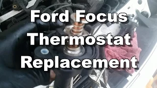 Ford Focus Thermostat Replacement - 2005-2011