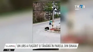 Un urs și-a făcut apariția în parcul din Sinaia