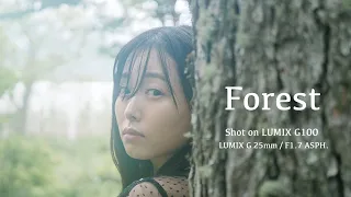 LUMIX G100＆単焦点レンズで撮影したイメージ動画「Forest」【パナソニック公式】