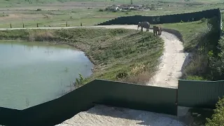 Слоны. Тайган. Крым. На эти пейзажи можно смотреть бесконечно...