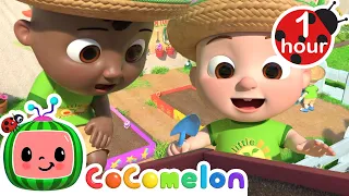 Yes Yes Vegetable Garden Song with JJ and Cody | CoComelon Nursery Rhymes & Kids Songs