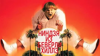 Ниндзя из Беверли Хиллз HD 1997 Beverly Hills Ninja