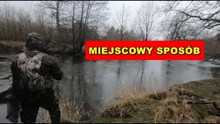 DOMOWY SPOSÓB NA MIEJSCOWĄ TROĆ