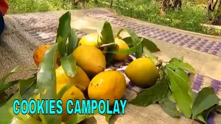 COOKIES CAMPOLAY | JEJAK SI GUNDUL (31/12/22)