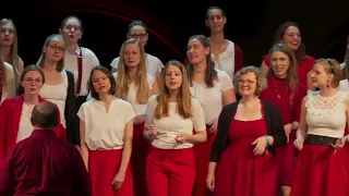 Nothing Else Matters (Metallica) - Choriosity A-cappella-pop-Chor Ulm