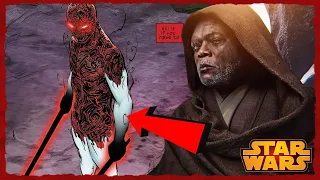 Mace Windu Returns And Fights Strongest Force User EVER (Full Potential Darth Vader) | SW Explained