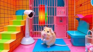 Hamster's Terrifying Exploration Journey in the Abandoned Prison 🐹 DIY Hamster Maze