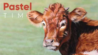 Calf in Soft Pastel - Timelapse