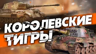 КОРОЛЕВСКИЕ ТИГРЫ (P)(H) В WAR THUNDER