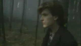 David Sylvian - The Women at the Well