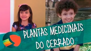 Viver Ciência - Casulo de Ideias: Gabriela Wolski e Matheus Patarelo