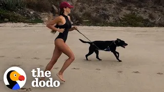 Dog Has Been Running In Circles For Four Years | The Dodo